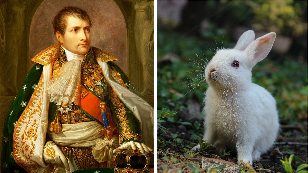 Яндекс.Картинки