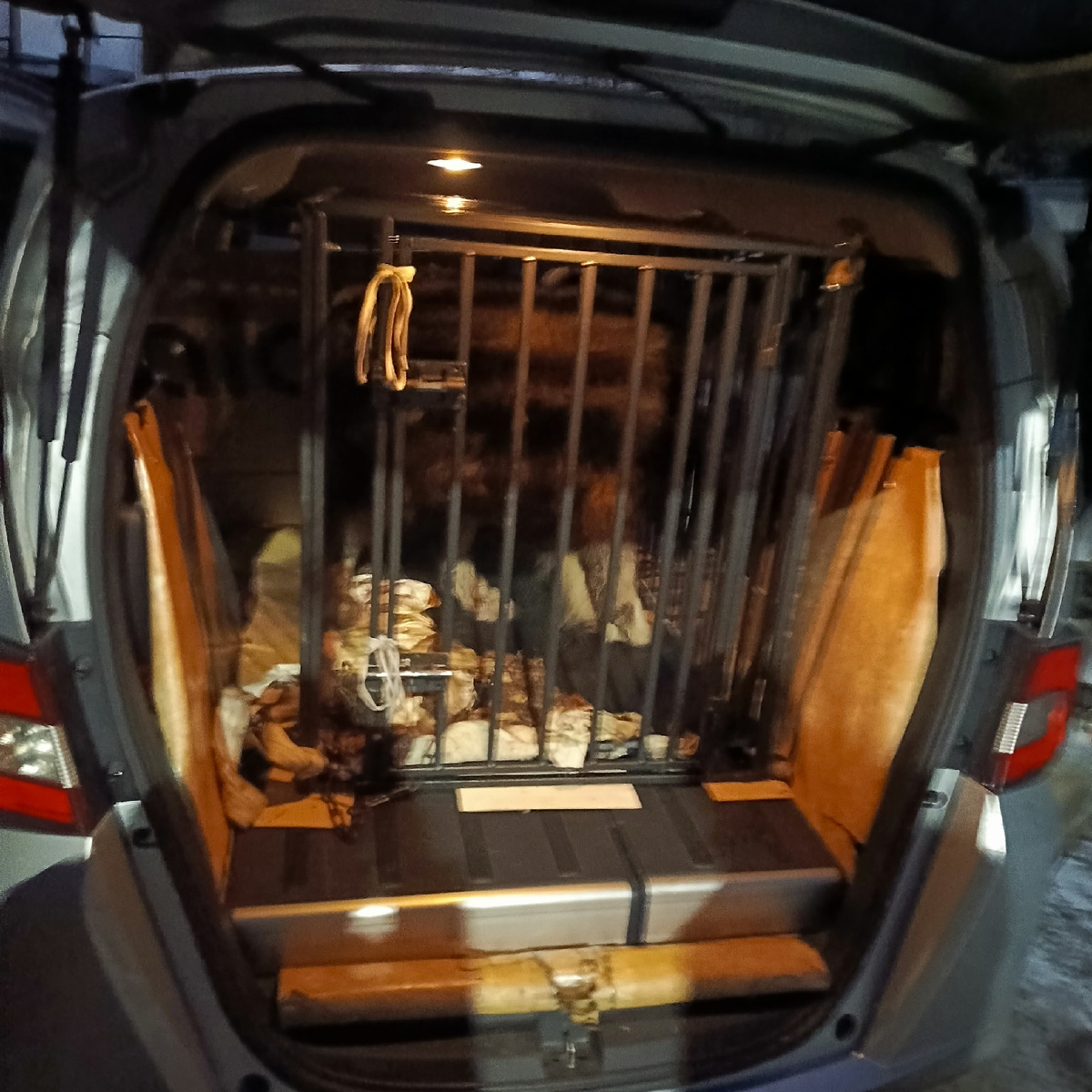 Это утром. Впихивали в машину.