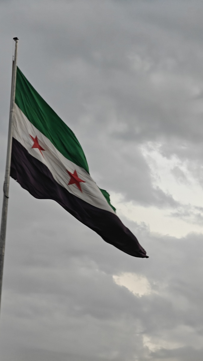 Новое правительство, новая геральдика. Они быстро успели поменять "фасад" страны. 