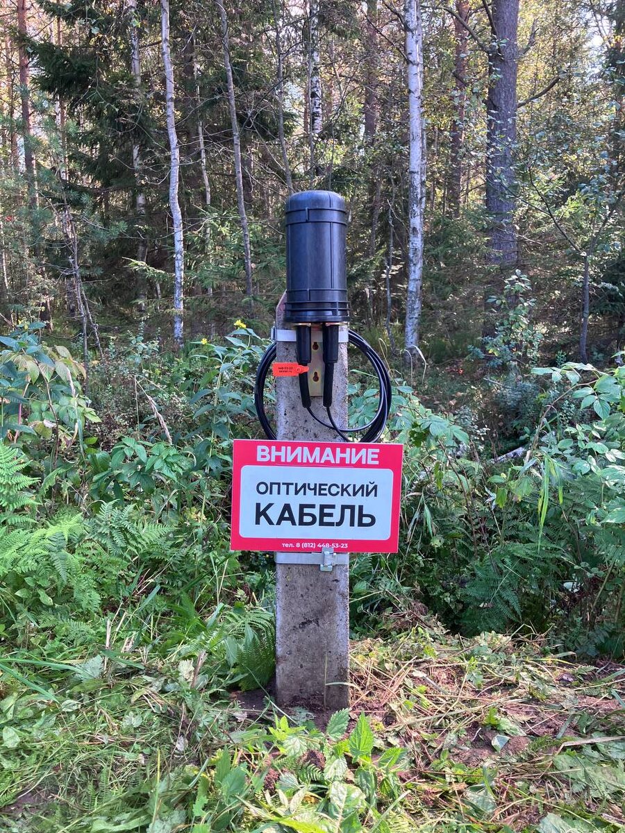 Оптическая муфта