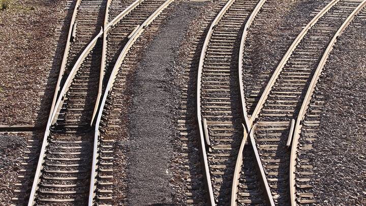  Фото: Shutterstock