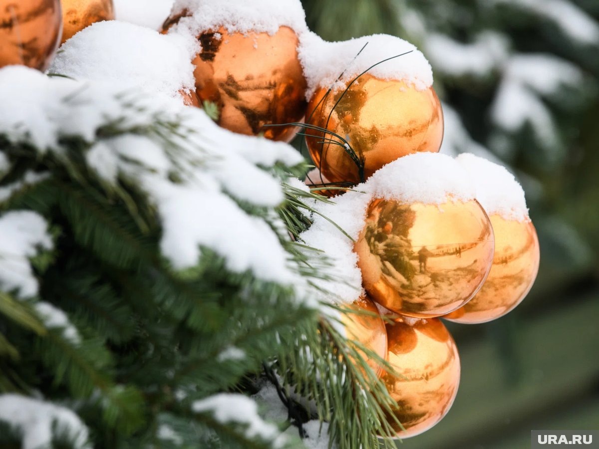     Новогодняя ярмарка в Ноябрьске не состоится из-за погоды и эпидситуации