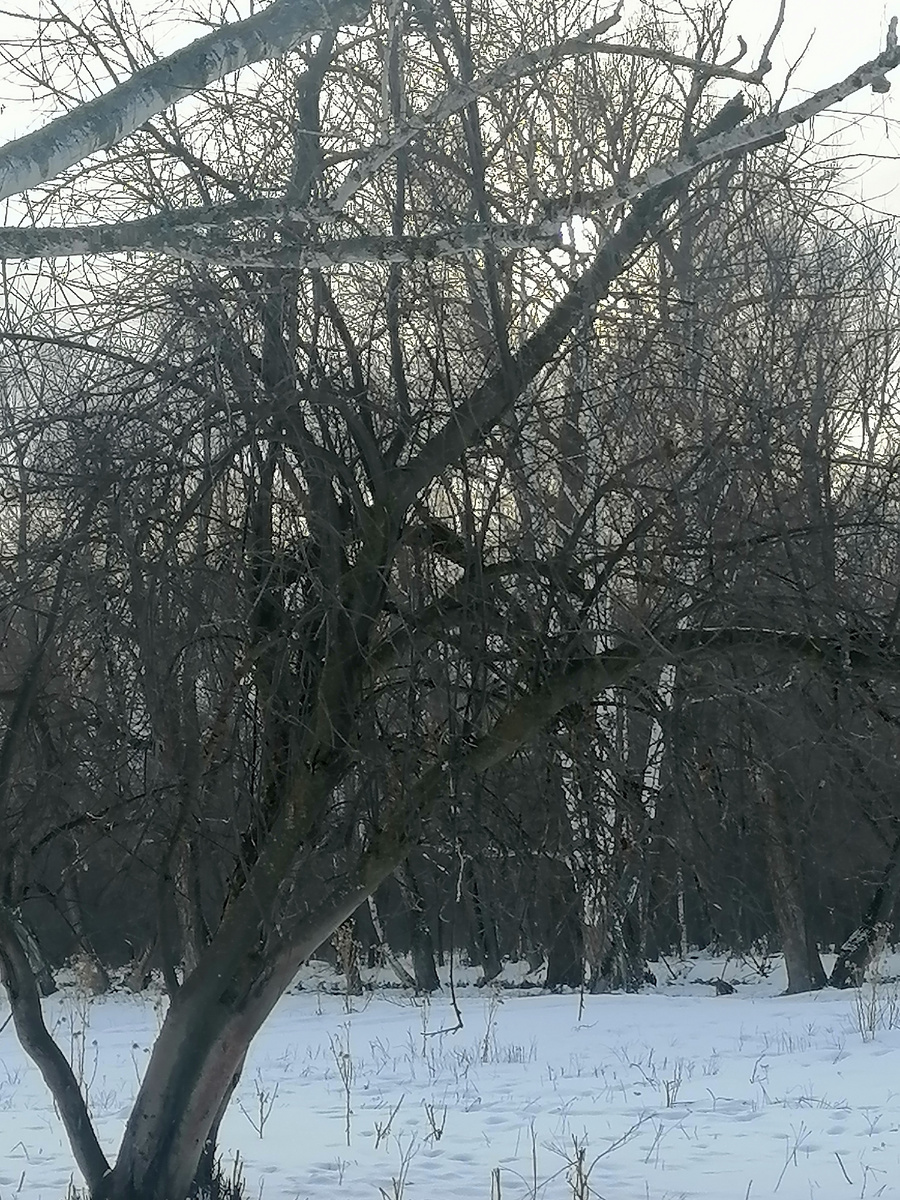 Пейзажи ещё такие унылые... 