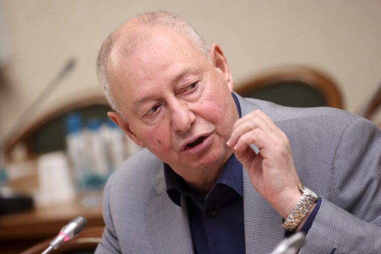    Фото: Пресс-служба Экономического совета ЛДПР Анастасия Болигузова