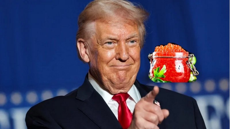    Коллаж Веллньюз. Исх. фото: Reuters, www.globallookpress.com/Ingram Images