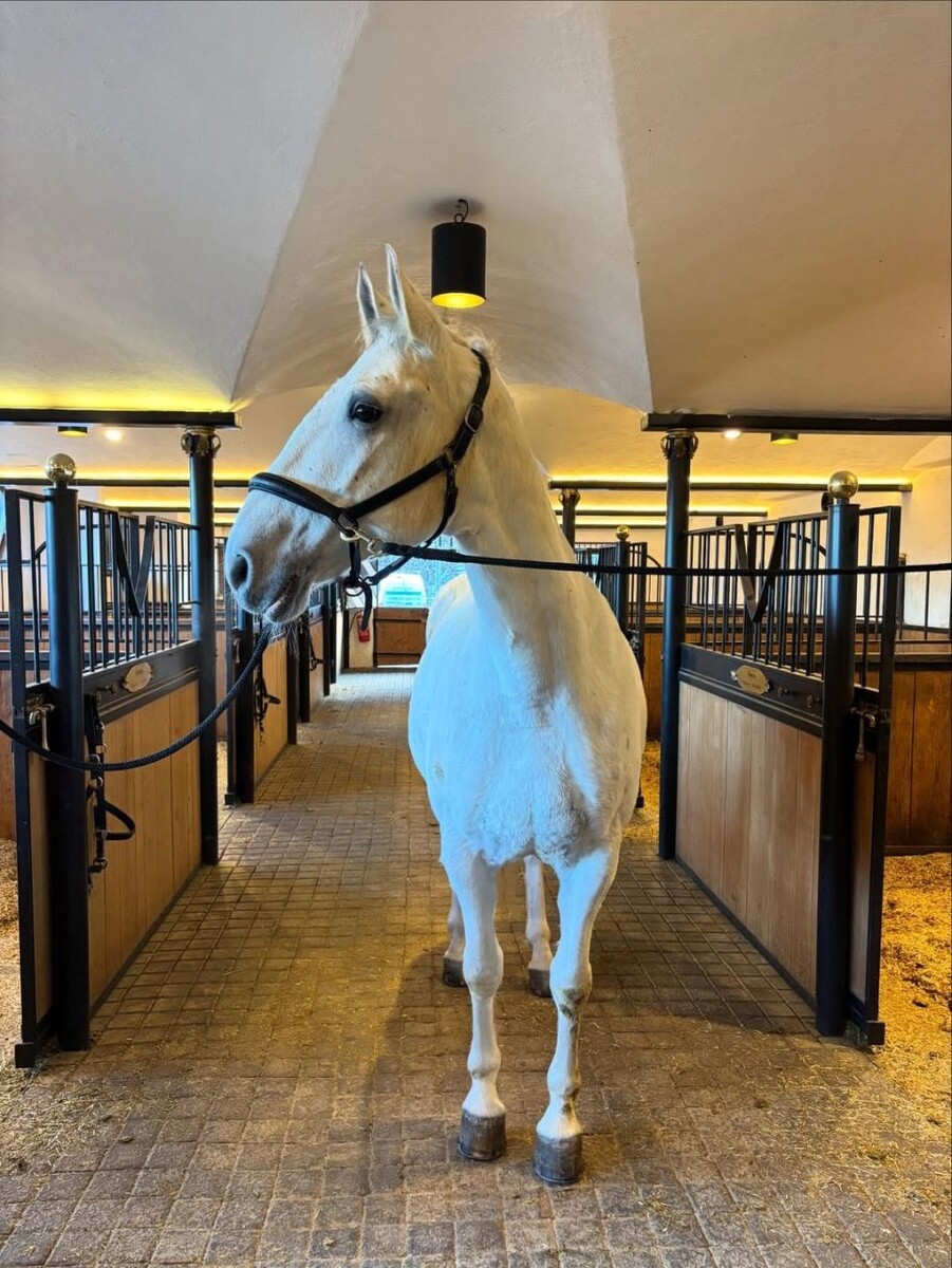    Дочь Александра Малинина отдыхает с родителями в австрийских Альпах. Источник: @ustinya_malinina_official*