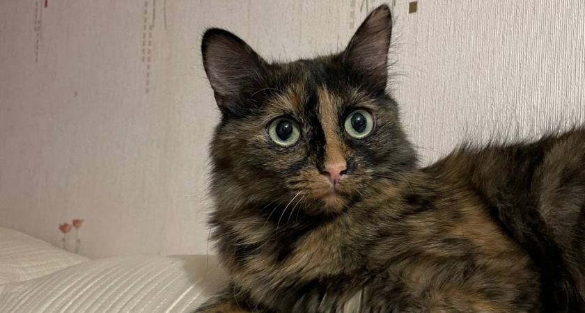    Автор фото - Анна Ефимова