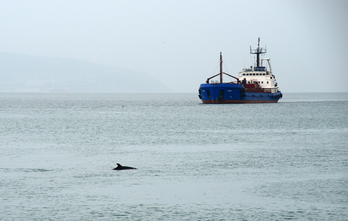 Игорь Онучин/ТАСС