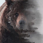 Сегодня 13:31  0  12artut.pirogov