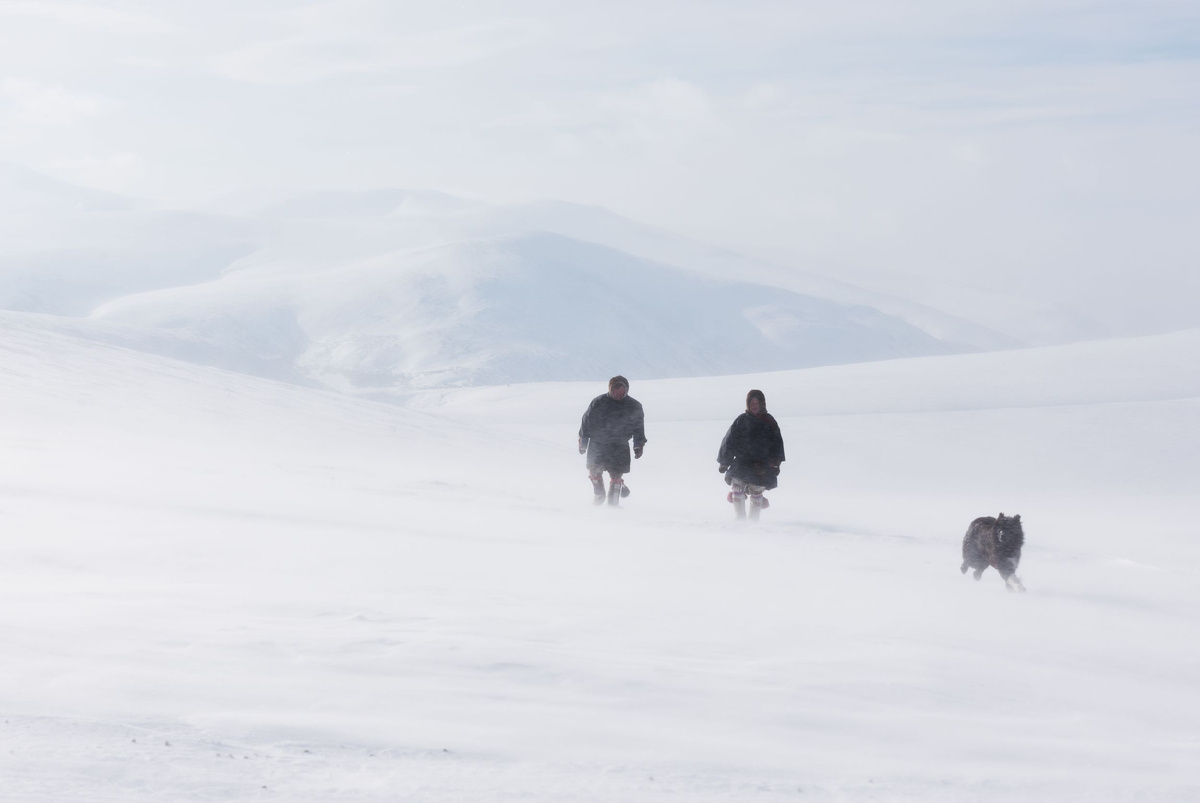 Фото: longtaildog/Shutterstock/Fotodom