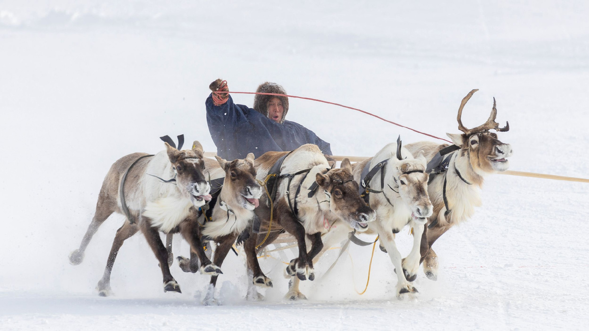 Фото: Фёдор Воронов/АНО «Ямал-Медиа»