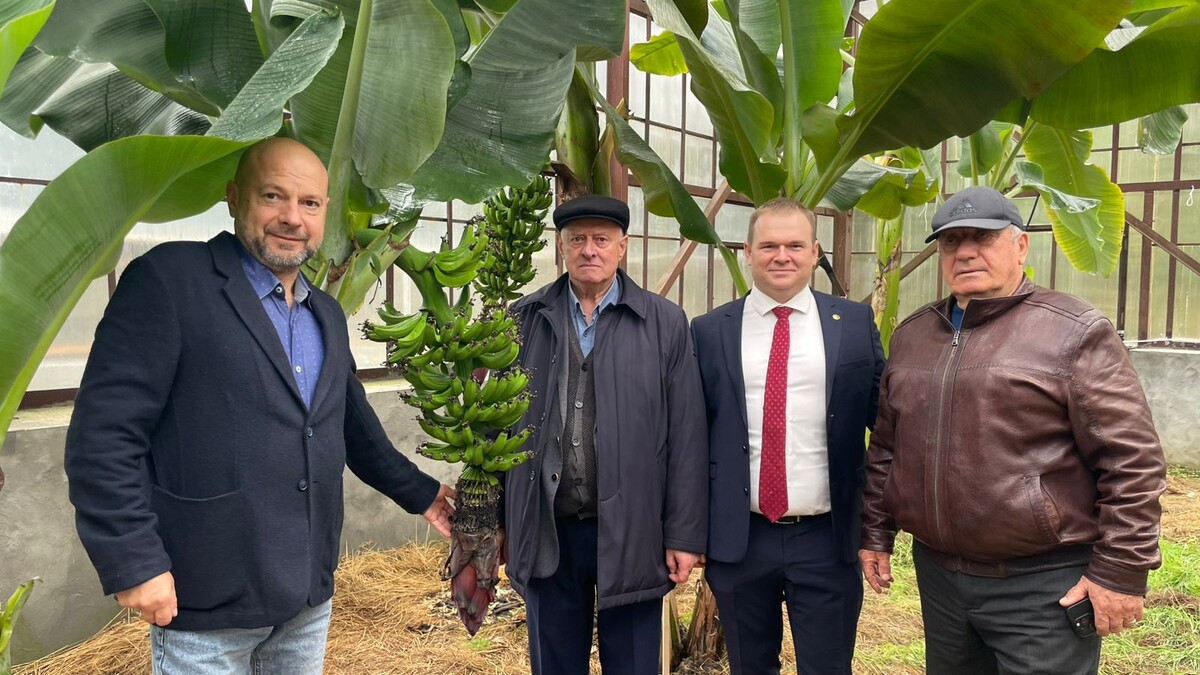 Исполнительный директор НПЦ "Агропищепром" С.А. Колесников с участниками открытия "Мичуринского сада" на территории Института сельского хозяйства Академии наук Абхазии