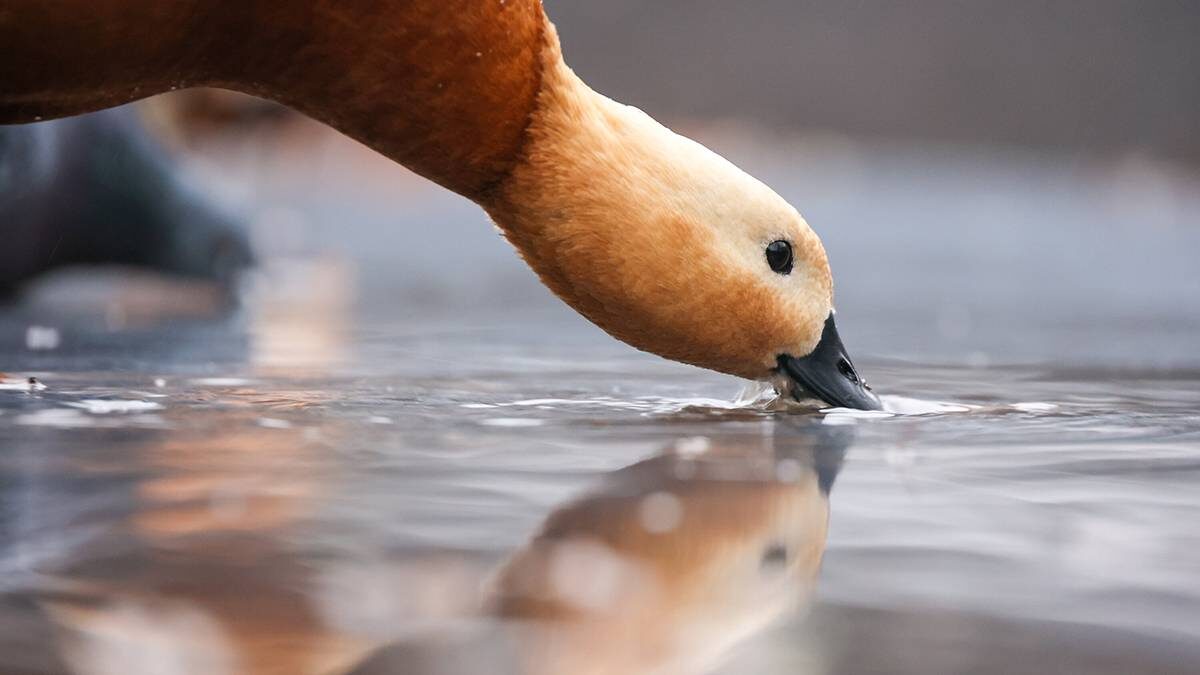    Фото: Ярослав Чингаев / АГН Москва