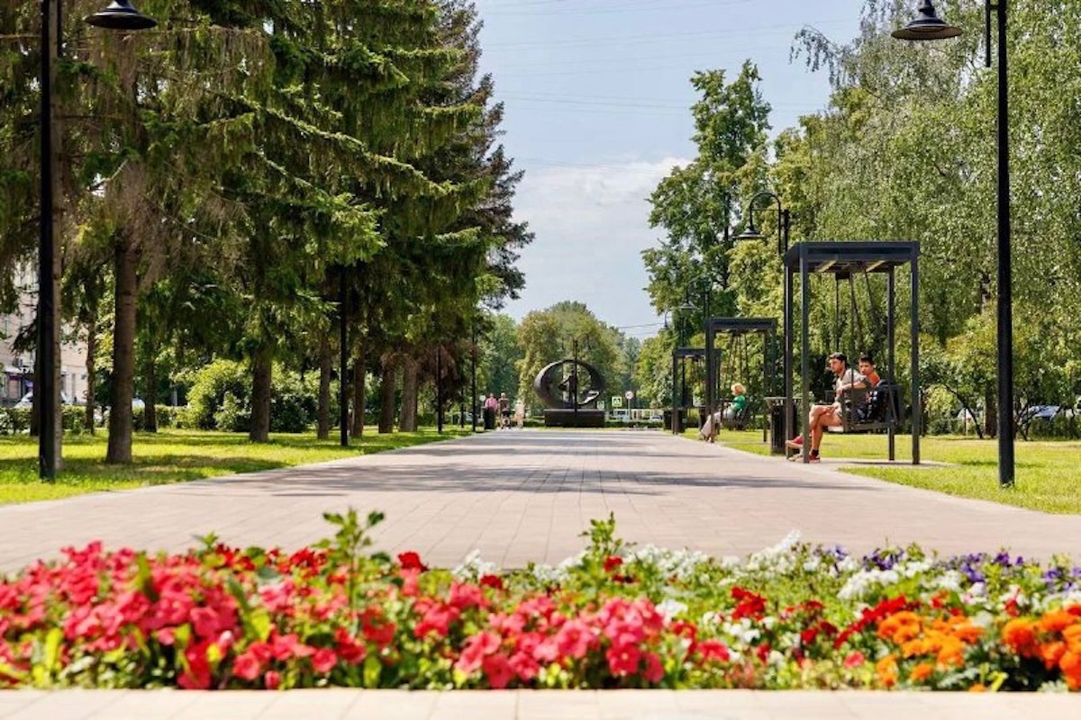    В 2025 году было высажено 5 тысяч деревьев и более 6 тысяч кустарников