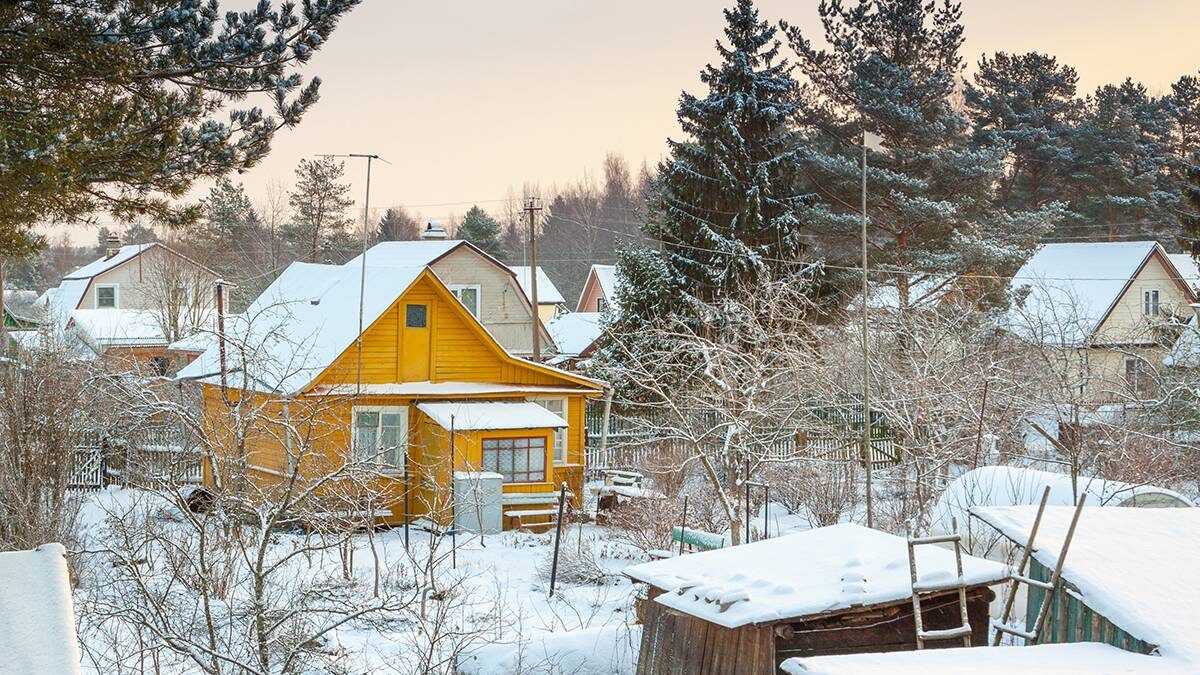    Фото: Shutterstock