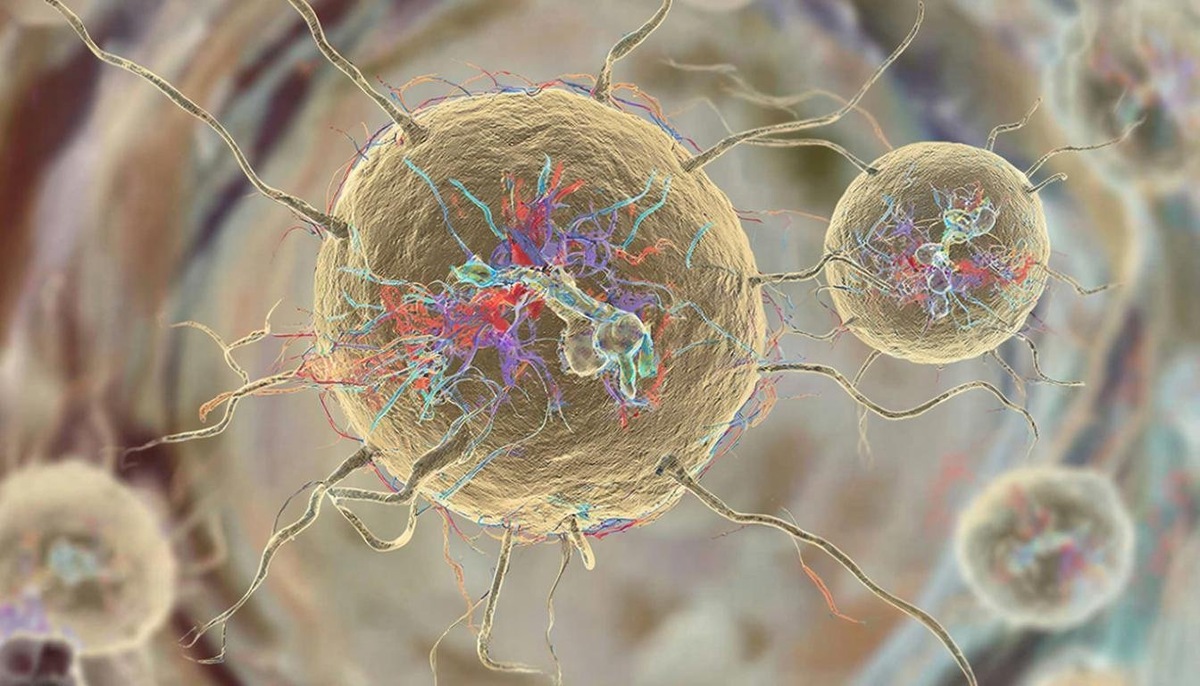    Клетки могут генерировать собственные электрические сигналы с помощью микроскопических движений мембраны.