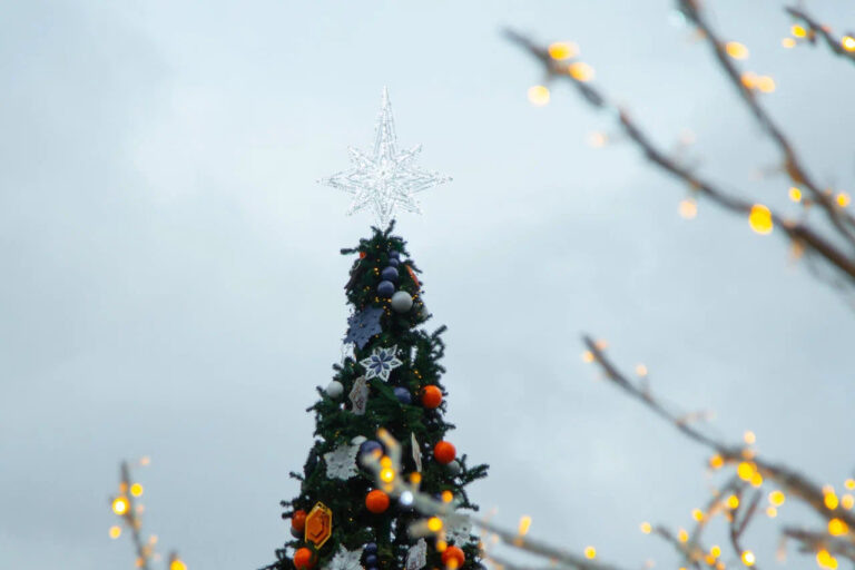    Фото: Общественная Служба Новостей Мария Спиридонова