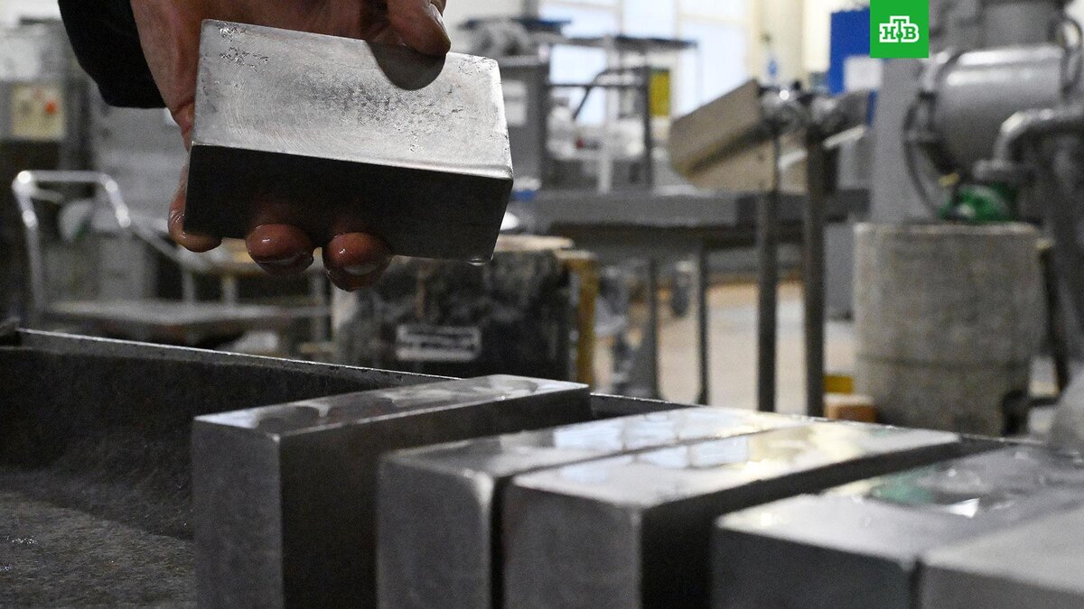    Фото: РИА Новости © 2025, Илья Наймушин