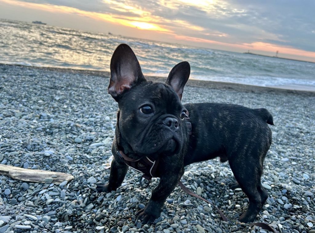    Фото Н.Николаевой Василий Шеин