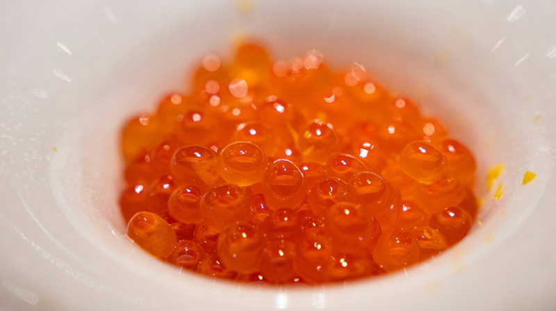     Harrison Chang/Unsplash