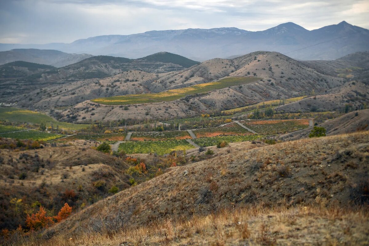     © РИА Новости. Константин Михальчевский