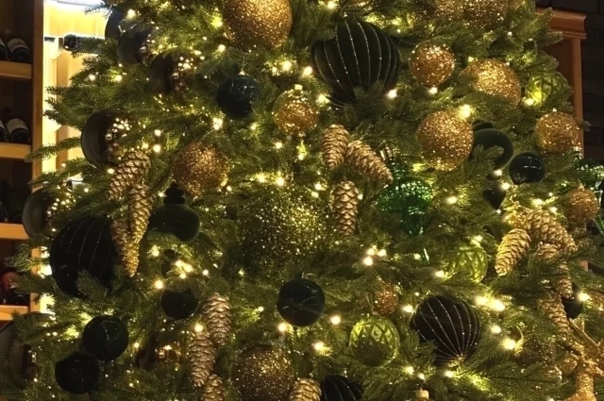    На Новый год пензенцам предлагают посетить Рязань, Москву и Великий Устюг