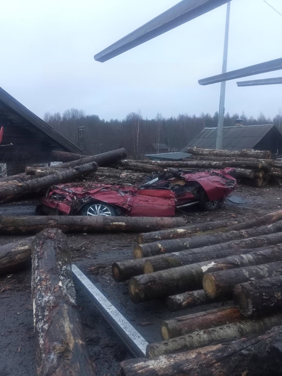    В страшной аварии с лесовозом в Прионежье погиб 46-летний водитель© прокуратура Карелии / Карелия | ЧП