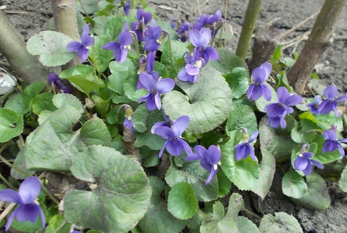 Подарок от января 2025 год.