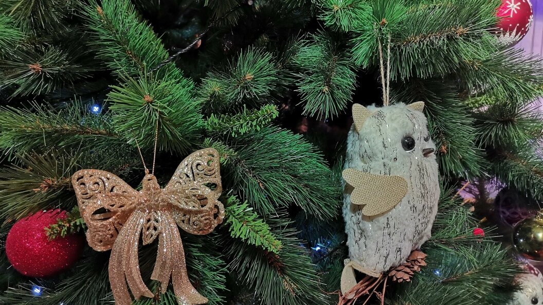    Фото: Телеканал Царьград