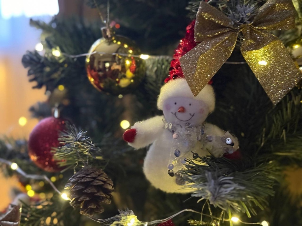 Фото: Ксения Саттарова