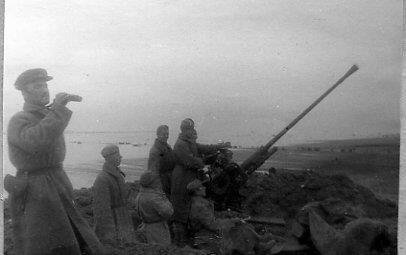 Источник: photo.rgakfd.ru