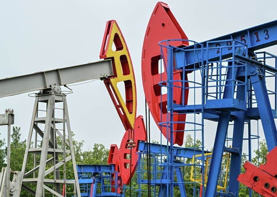     / Источник: © Максим Богодвид/РИА Новости