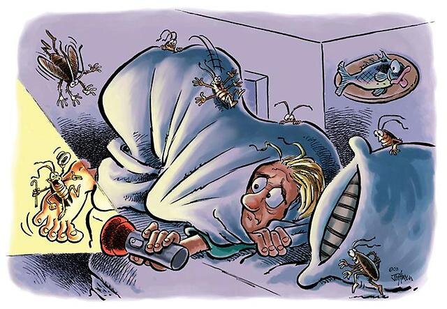 К чему снятся клопы