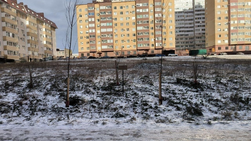    Территория сквера Фото: Личный архив Георгия Ляшова