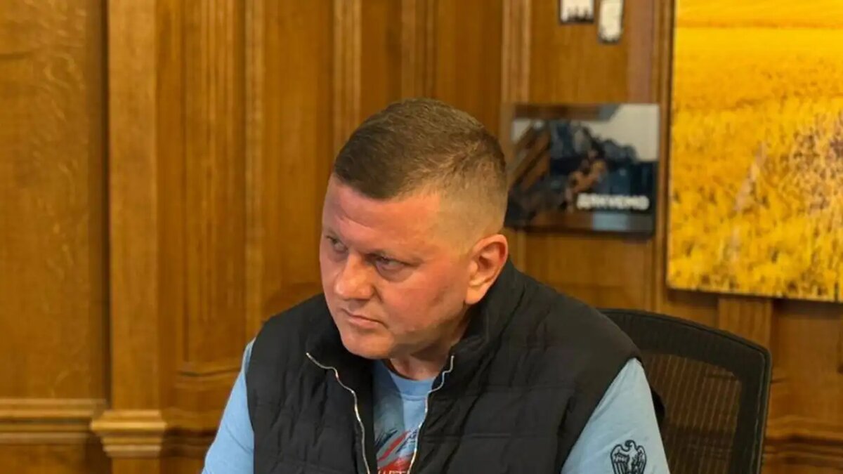    Бывший главком ВСУ Валерий Залужный. © Соцсети