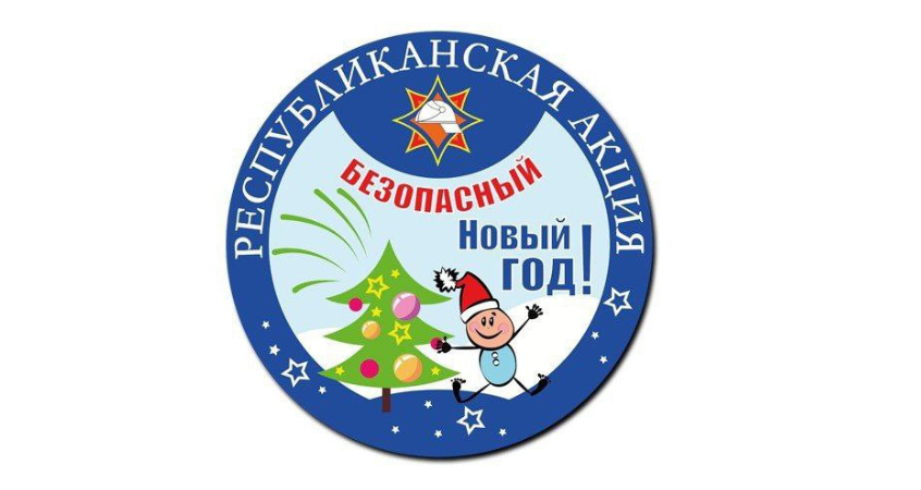    В Брестской области проходит акция «Безопасный Новый год»
