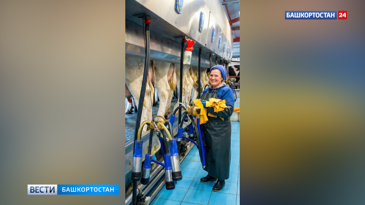    Племзавод имени Ленина из Башкортостана стал участником федерального проекта «Производительность труда»