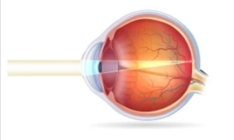 Изображение из Яндекс картинки 