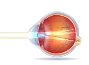 Изображение из Яндекс картинки 