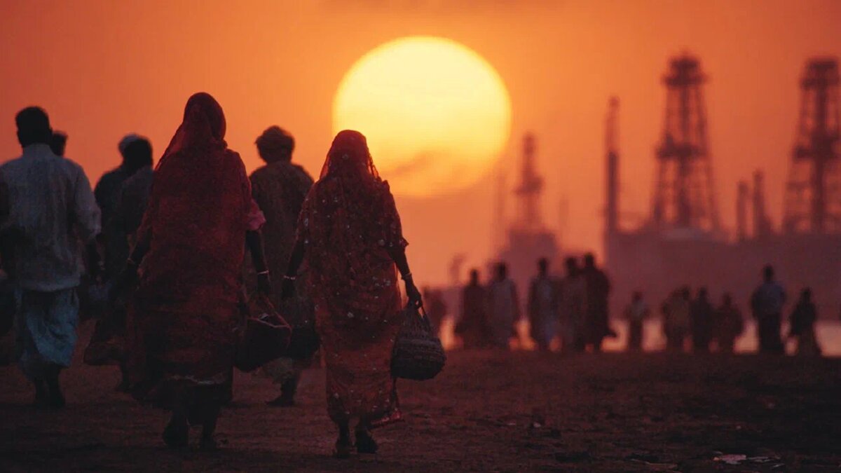 Коллаж Novorosinform