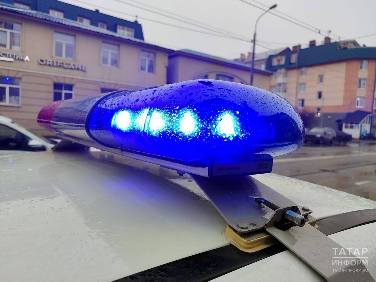 Фото: «Татар-информ»