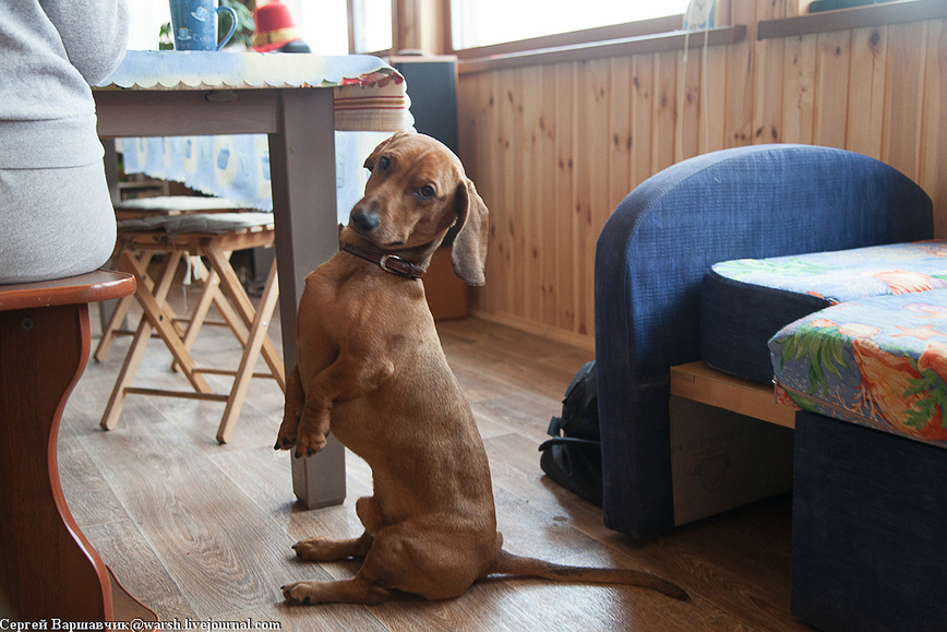     Фото автора