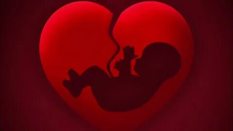 Фото: взято из открытых источников