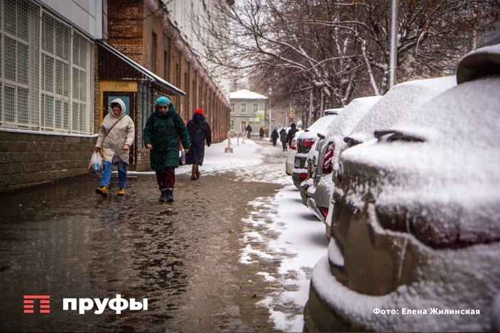    Фото: Пруфы