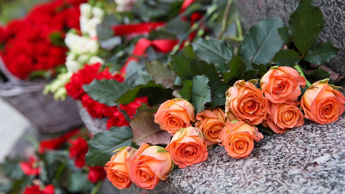    Фото: Василий Кузьмиченок / АГН Москва