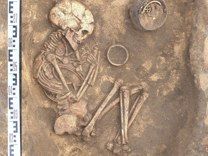     Фото: ООО «Терра»