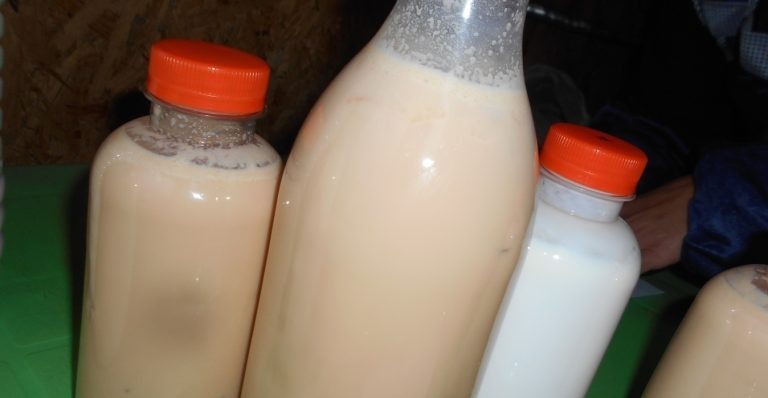    © Управление Россельхознадзора по Кировской области, Удмуртской Республике и Пермскому краю