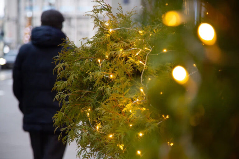    Фото: Общественная Служба Новостей Ольга Шмырева