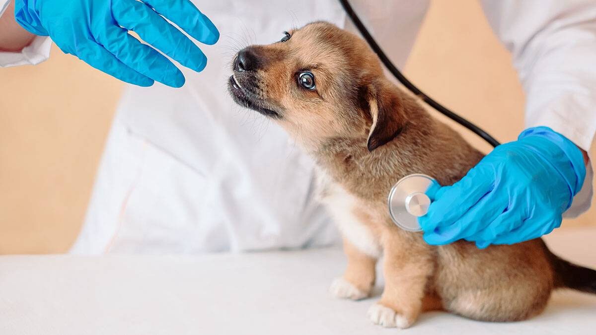    Фото: Shutterstock