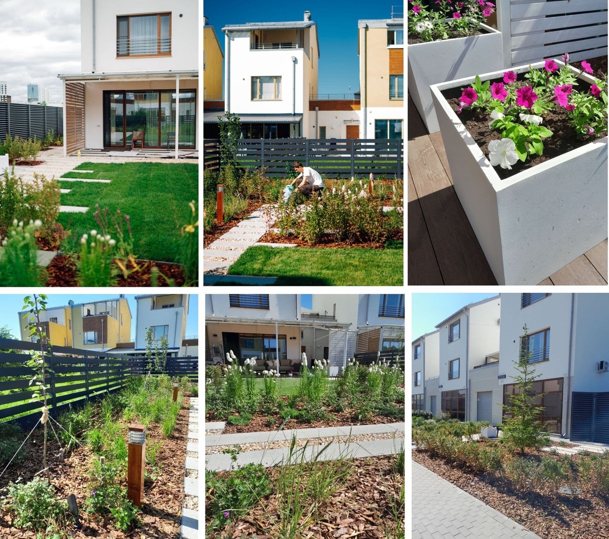 Благоустройство участка таунхауса. Как разместить всё на 3 сотках?